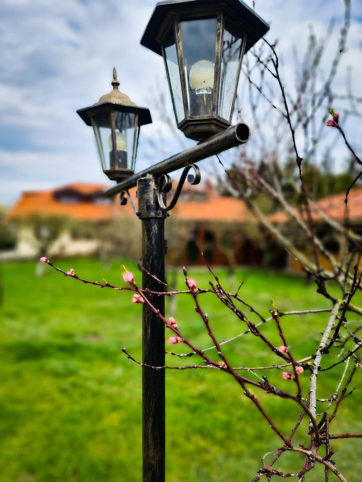 Gosciniec Gryszczeniowka & Spa Wargowo Extérieur photo