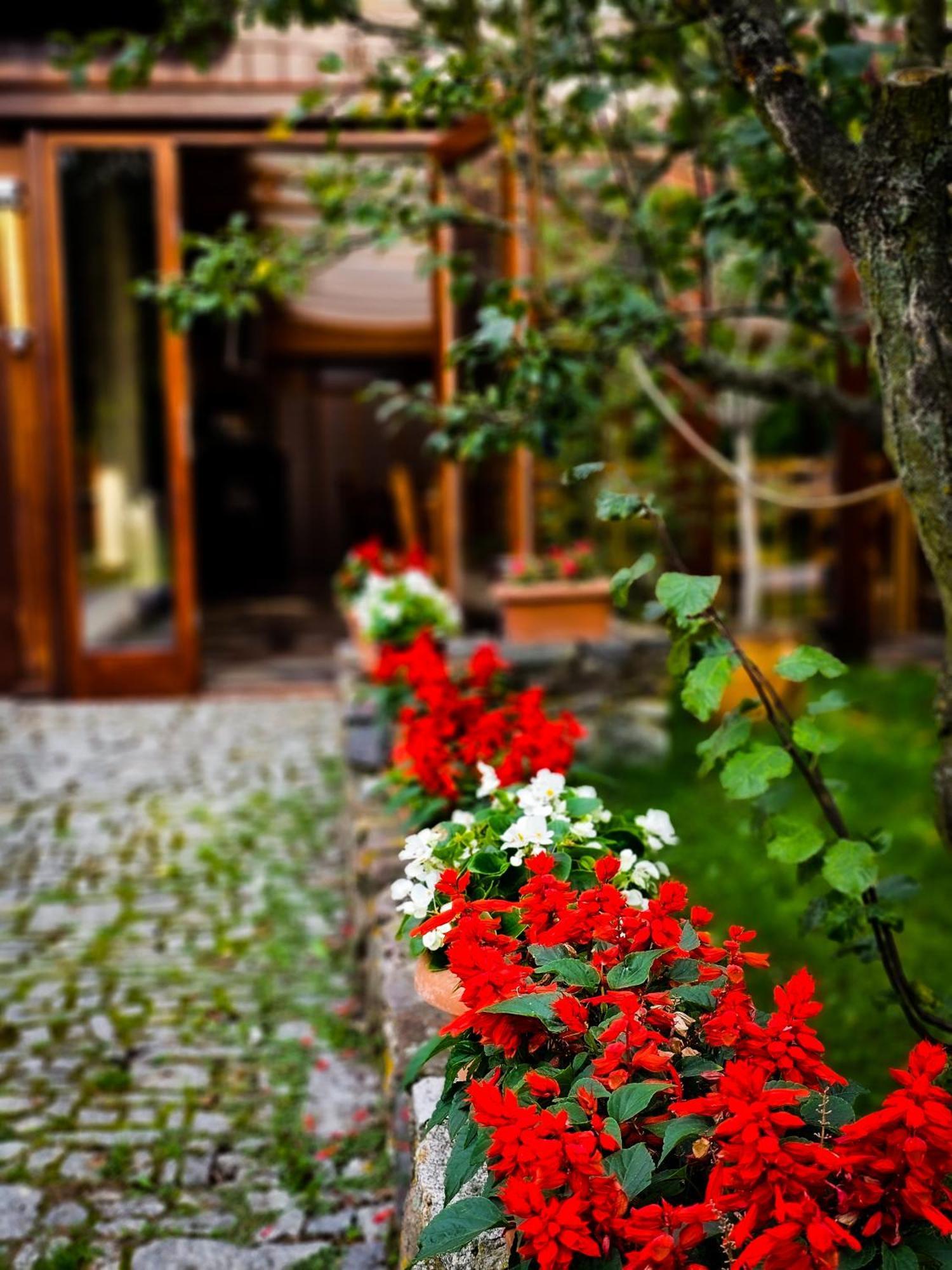 Gosciniec Gryszczeniowka & Spa Wargowo Extérieur photo