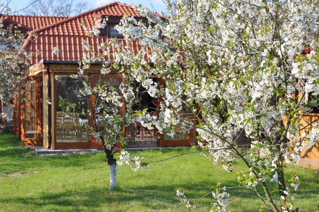 Gosciniec Gryszczeniowka & Spa Wargowo Extérieur photo